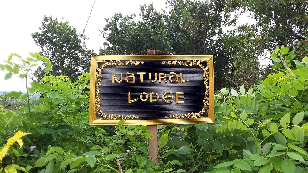 Natural Lodge 2 Selemadeg  Exteriör bild